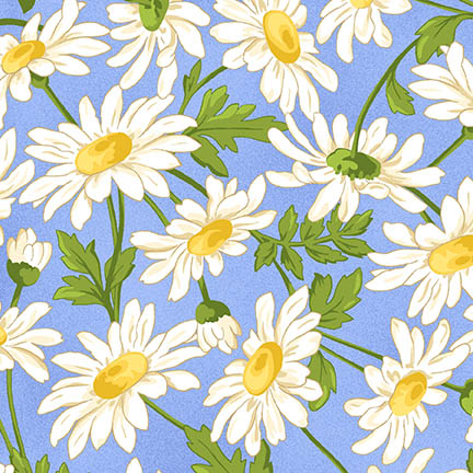 White daisy quilt is my new bedspread.