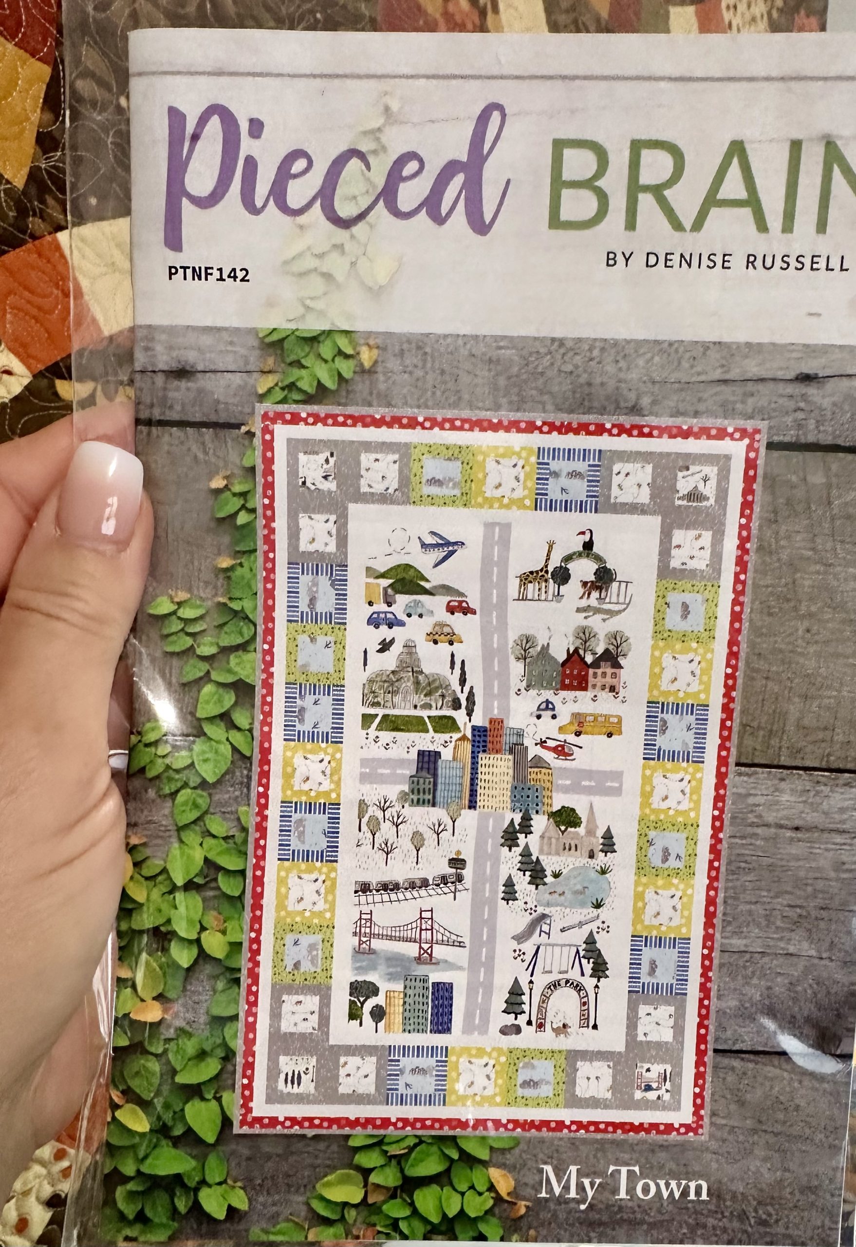 Panel Quilt for Children - Pieced Brain